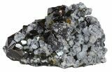 Galena, Chalcopyrite and Sphalerite Crystal Cluster - Bulgaria #62250-1